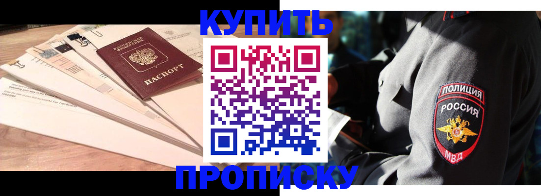 прописка поиск в Новозыбкове